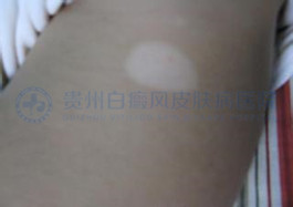 ɢ���Ͱ��综����ɿ�