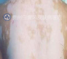 �󱳰�����λ���������ɢ