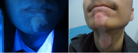 ���԰���Ϊʲô����β���?