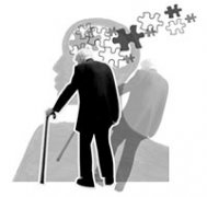 ������综�������������õ���̬��