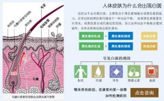 ��������ô����ģ�