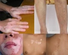 ���԰�����������