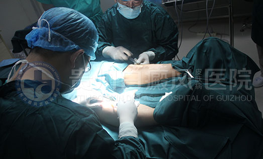 ReCell�������Ƥ��ϸ����ֲ