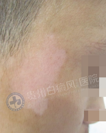 ���˰��簸��